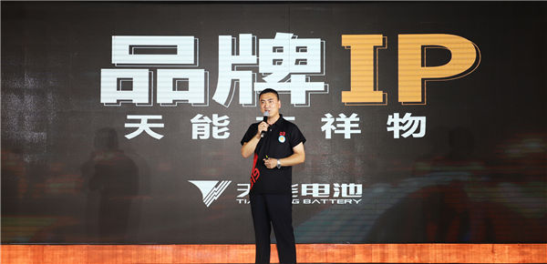 大红鹰dhy(中国)有限公司官网