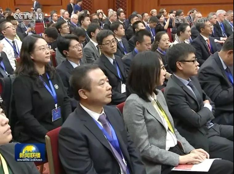 大红鹰dhy(中国)有限公司官网