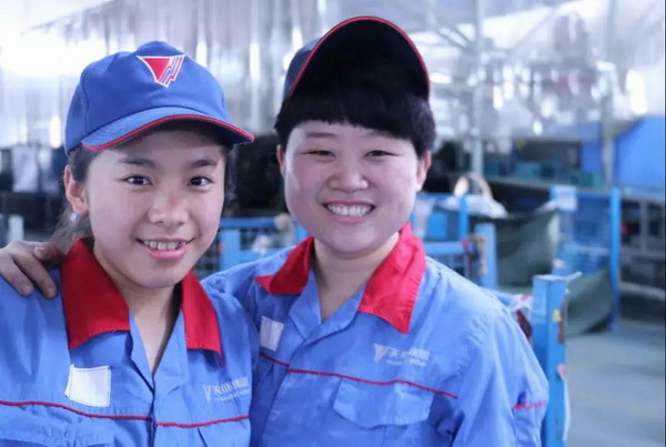 大红鹰dhy(中国)有限公司官网