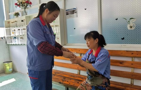 大红鹰dhy(中国)有限公司官网