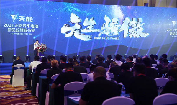 大红鹰dhy(中国)有限公司官网