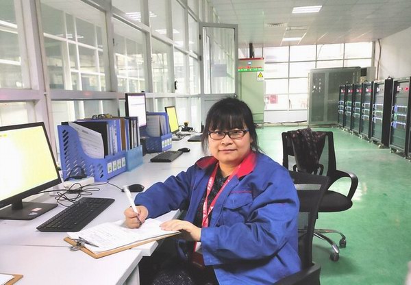 大红鹰dhy(中国)有限公司官网