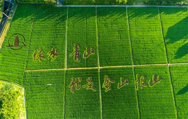 大红鹰dhy(中国)有限公司官网