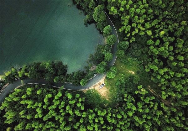 大红鹰dhy(中国)有限公司官网