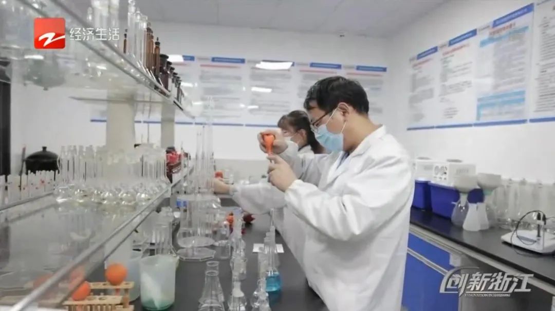 大红鹰dhy(中国)有限公司官网