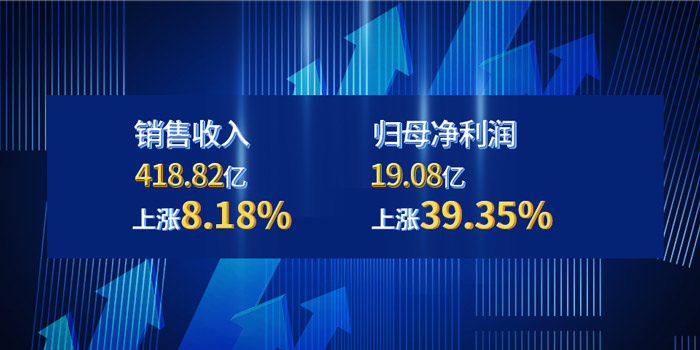 大红鹰dhy(中国)有限公司官网