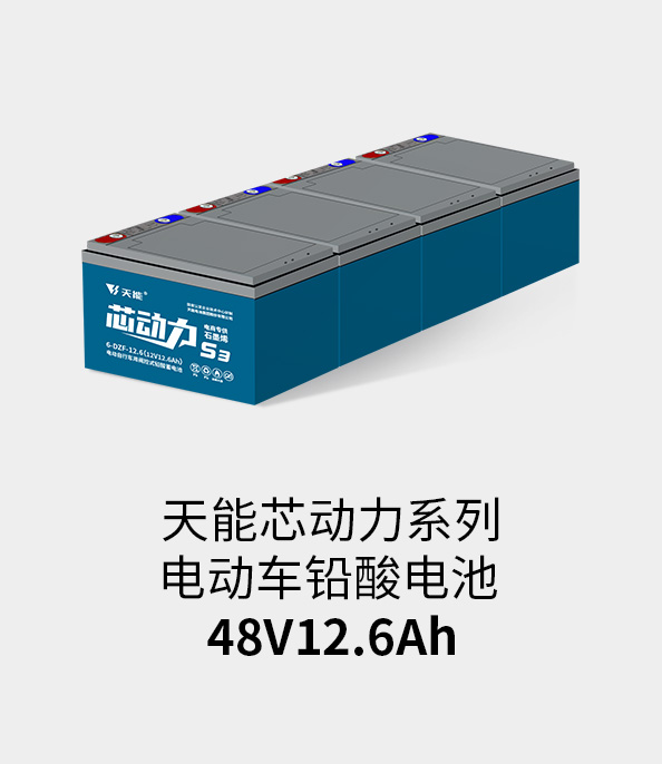 大红鹰dhy电池48v12ah