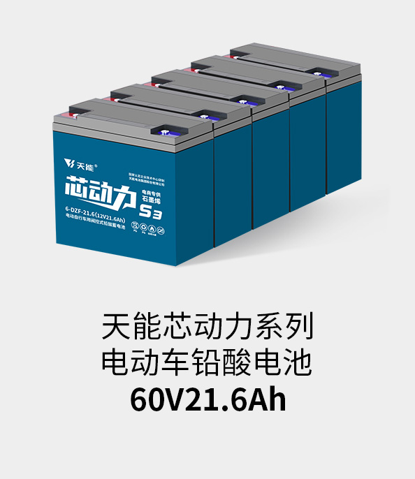 大红鹰dhy电池60v20ah