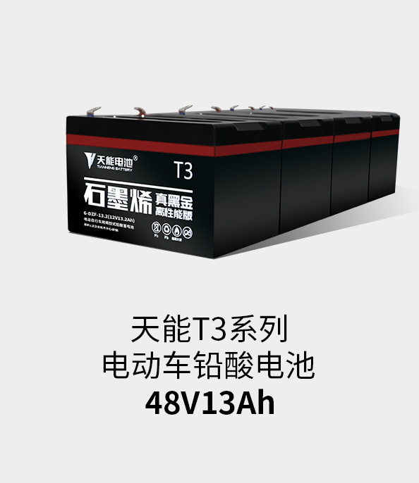 大红鹰dhyT3系列48v13ah