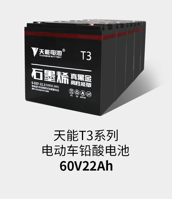 大红鹰dhyT3系列60v22ah