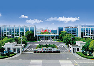 大红鹰dhy股份介绍