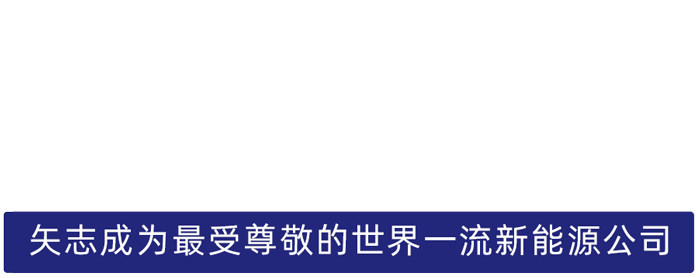 大红鹰dhy股份